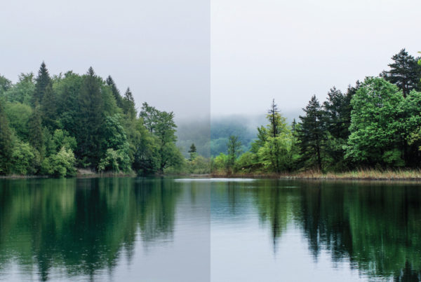 image showing the difference between high contrast and low contrast